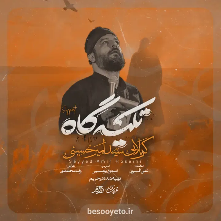 نماهنگ تکیه گاه سید امیر حسینی