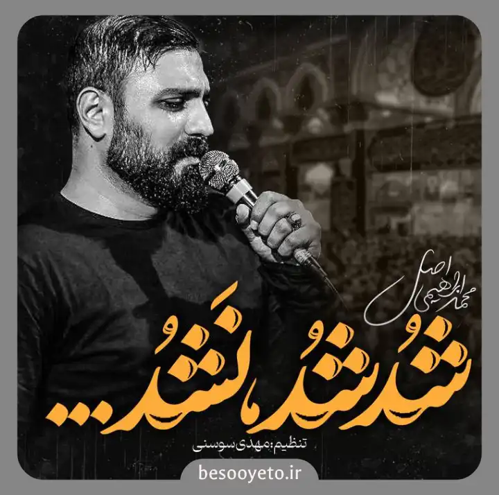 نماهنگ شد شد نشد میرم کربلا