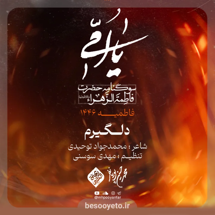 نماهنگ دلگیرم از محمدحسین پویانفر