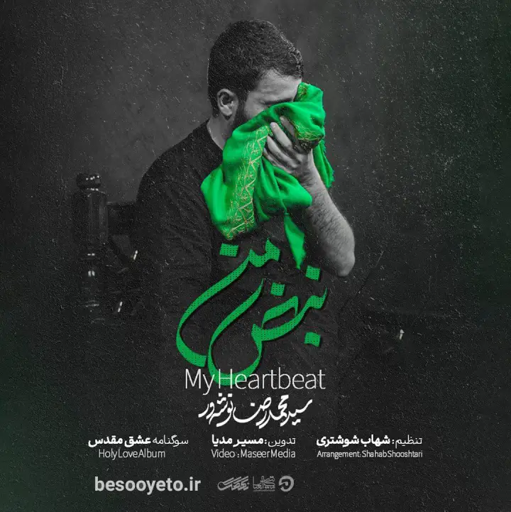 نماهنگ نبض من سید محمدرضا نوشه ور