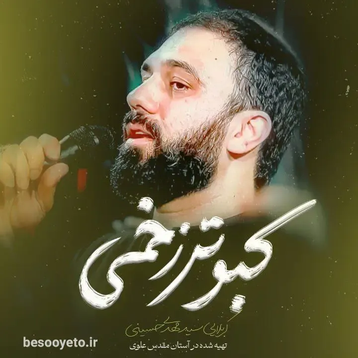 نماهن کبوتر زخمی سید مهدی حسینی